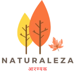 Naturaleza Logo